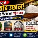 भारत में चीनी की बढ़ती कीमत और Red Rot El Nino पर सरकार का बयान
